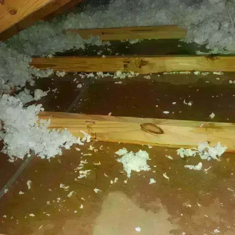 Attic Water Damage in Merrimack County, NH