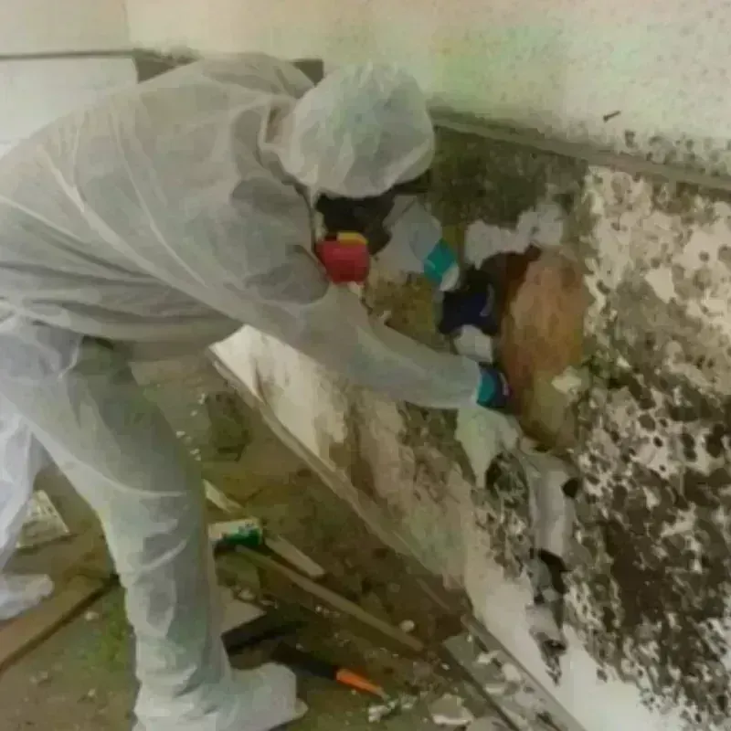 Mold Remediation and Removal in Merrimack County, NH